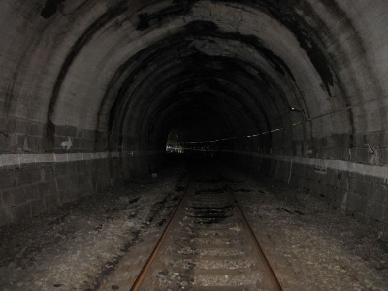 Palota