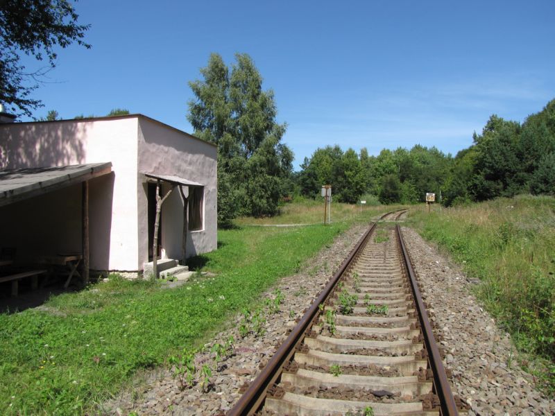 Palota