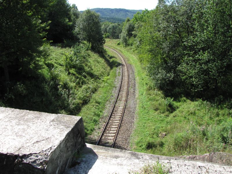 Palota