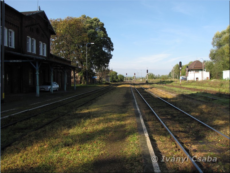 Paczk�w