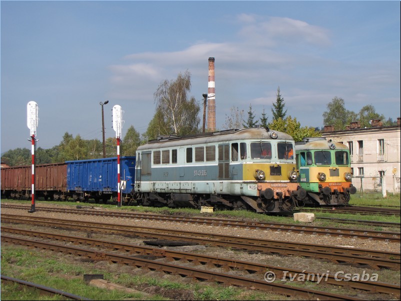 �cinawka �rednia 