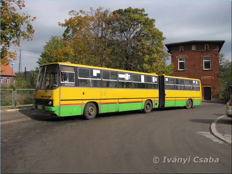 Wa�brzych