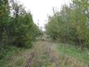 Kamienna G�ra ut�n 13 kilom�terrel j�n az els� �llom�s Ogorzelec (k. Dittersbach)