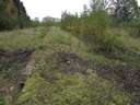 Utolj�ra 1986-ban j�rt ott szem�lyvonat, ennek ellen�re m�g l�tszik 3 peron nyoma is