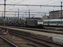 Egy m�sik idegen, a PKP Carg� b�relt mozdonya csattog kereszt�l �res aut�sz�ll�t� szerelv�ny�vel