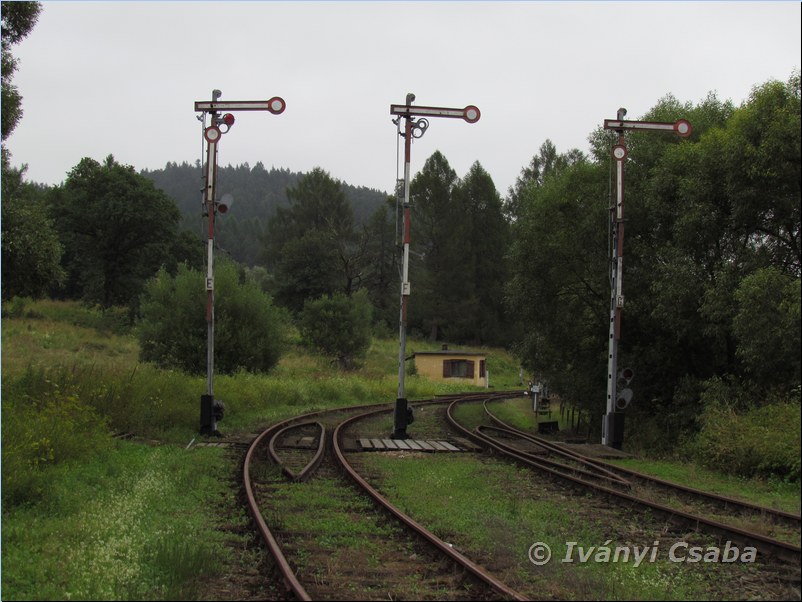 Kr�sicenko