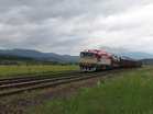 A t�zolt�vonatot m�r felk�sz�ltebben v�rjuk, m�rmint mind a ketten, akik az oda�ton ezen a helyen k�v�ncsiak vagyunk a vonatokra