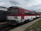 Egy 810-es a m�sodik v�g�nyon