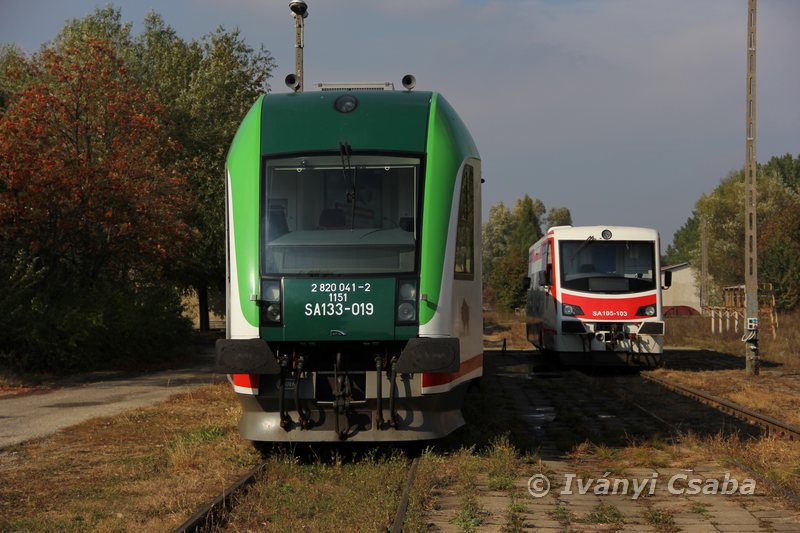 Czeremcha
