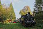 Pr�b�lkoztam egy kis m�v�szked�ssel is a Tkh-2191-es g�z�ssel �s egy 1950-ben gy�rtott kis d�zelmozdonnyal