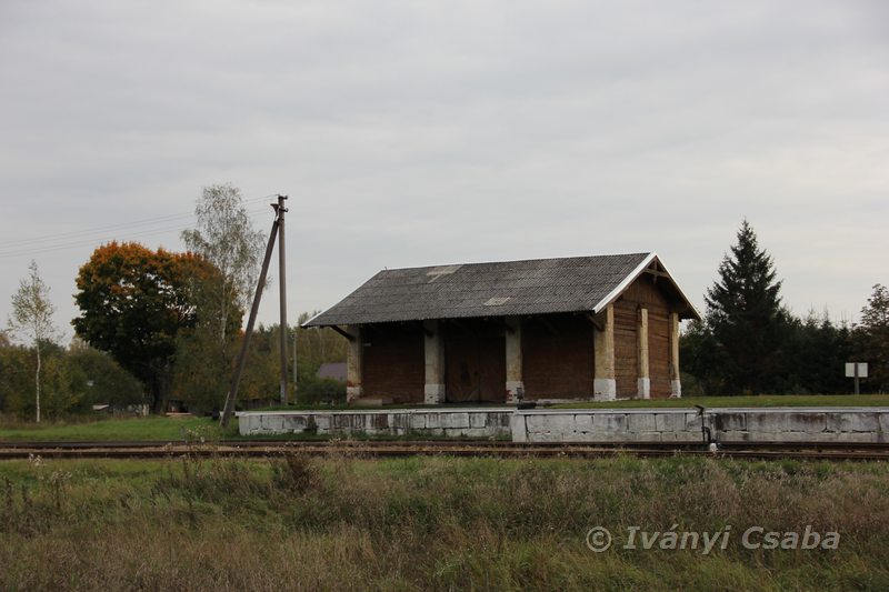 Marcinkonys