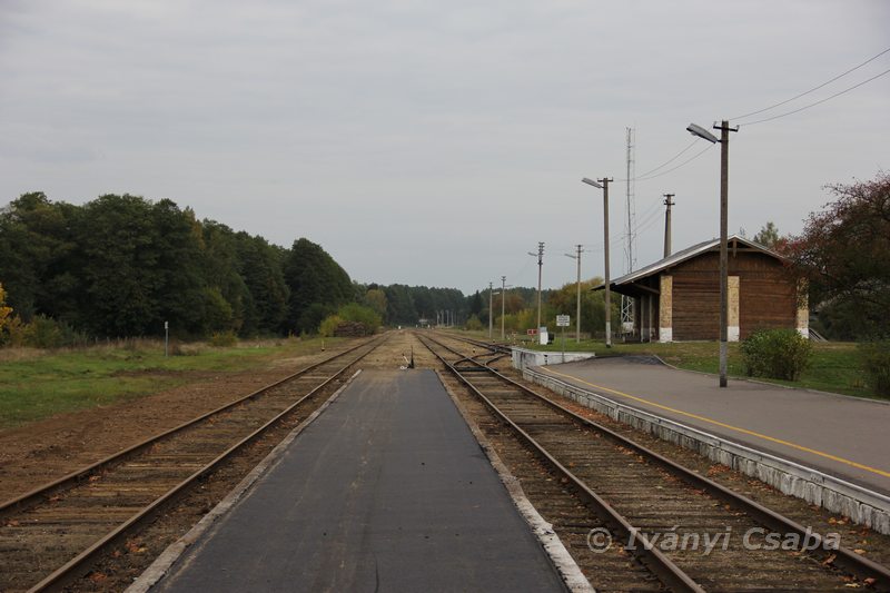 Marcinkonys