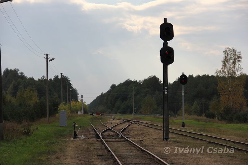 Marcinkonys