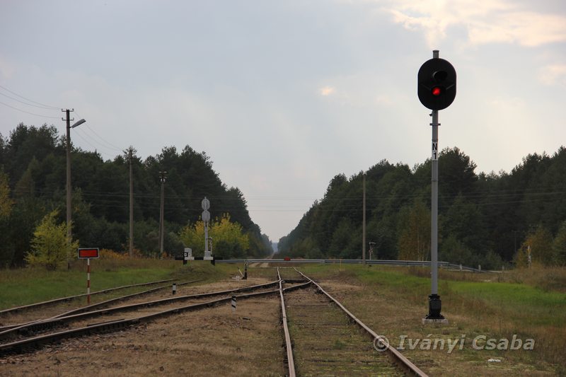 Marcinkonys