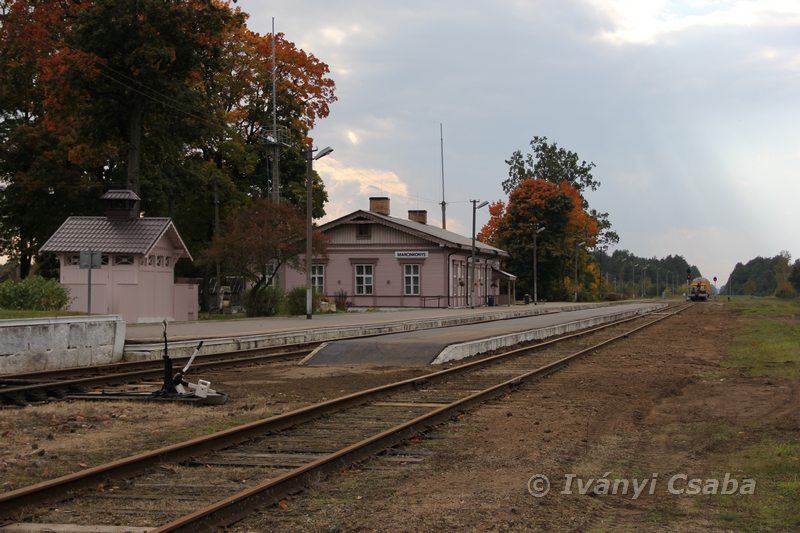 Marcinkonys