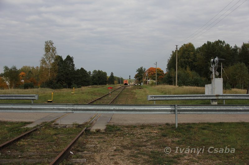 Marcinkonys