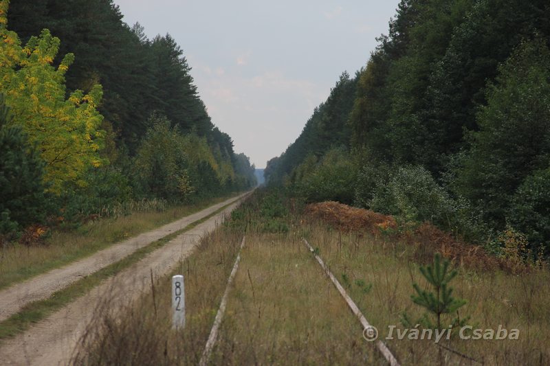 Marcinkonys