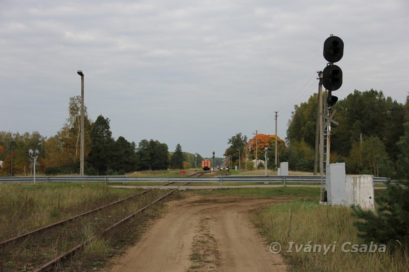 Marcinkonys