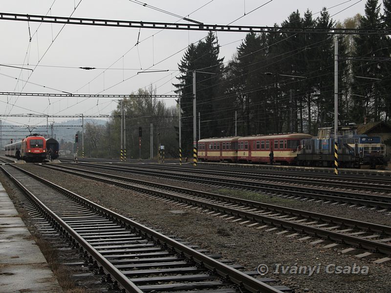 Rybnik