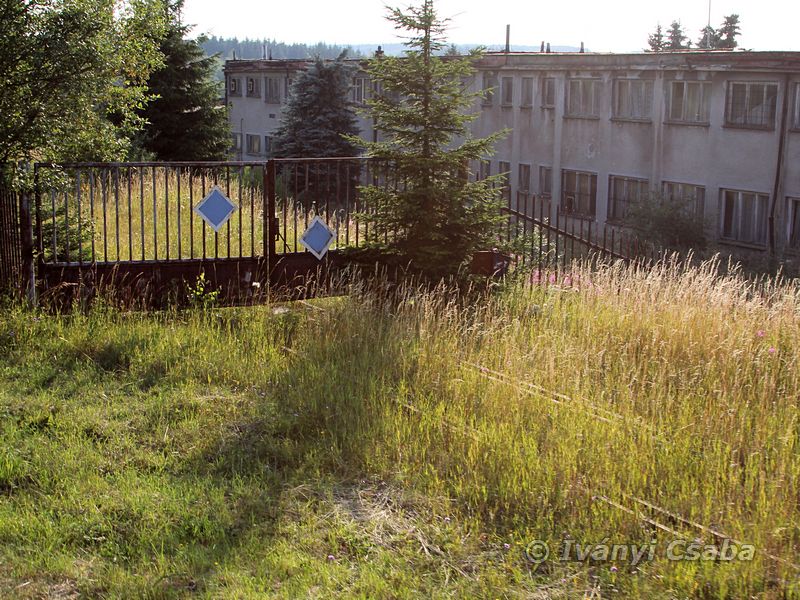 Medenec