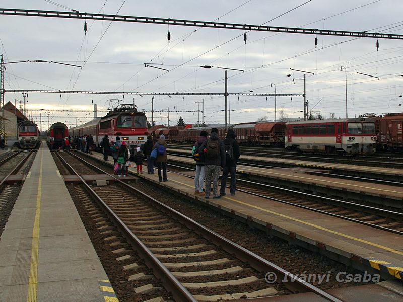 Levice