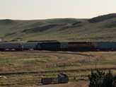 A következő megállónk Shelby, még mindig Montana. Itt is van egy nagyobb rakodótelep, mondhatnánk teherpályaudvar, amit a BNSF szolgál ki