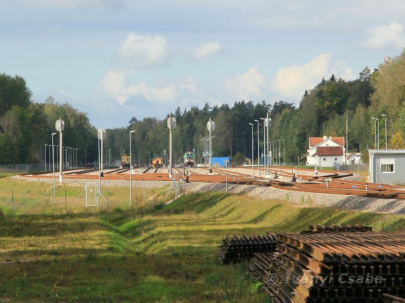 Mockava