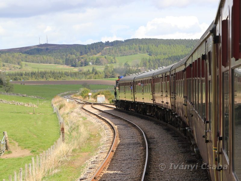 Broomhill
