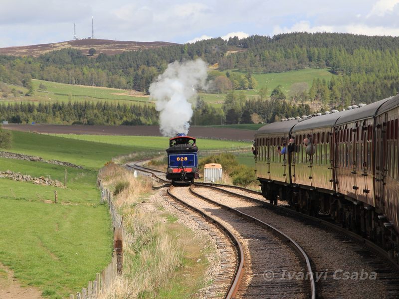 Broomhill