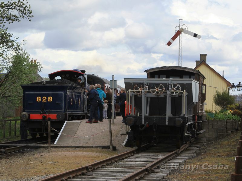 Broomhill