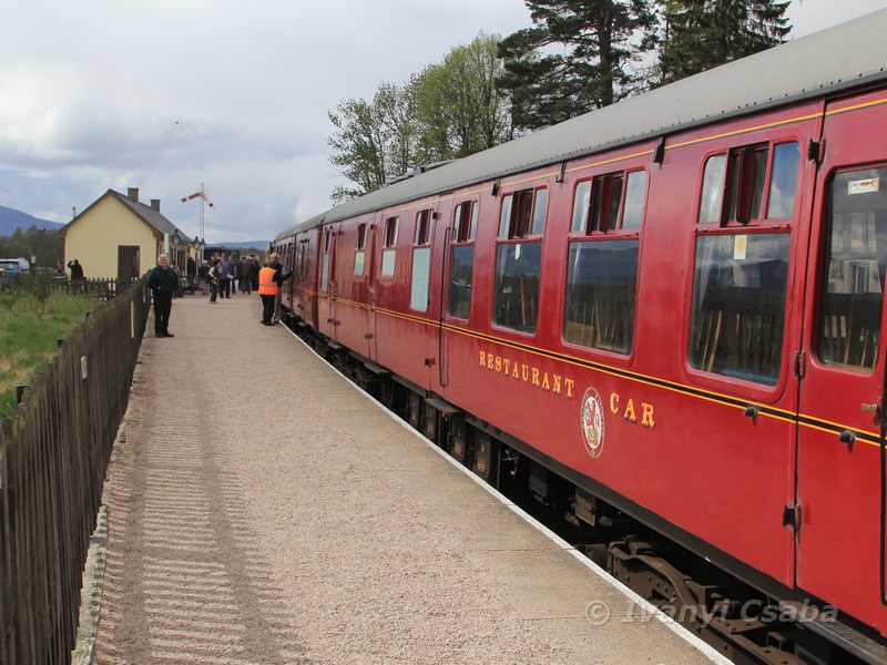 Broomhill